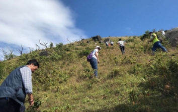 九月九日重阳节浮山岭登高望远